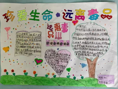 小小法律守护者，小学生法律知识手抄报与黑板报制作指南