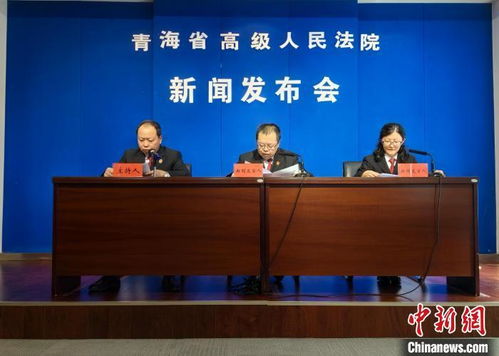 雨花台区法院官网，数字化司法的先锋，公正与效率的双重保障