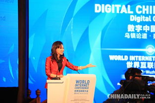 版权守护者，揭秘中华人民共和国国家版权局