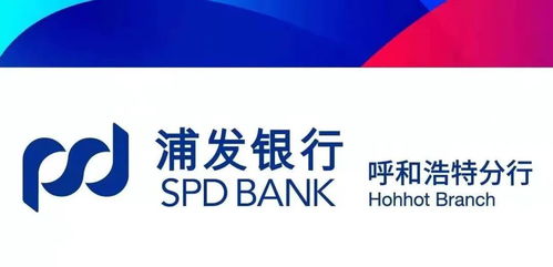 珠海地税局，优化税收服务，促进地方经济发展