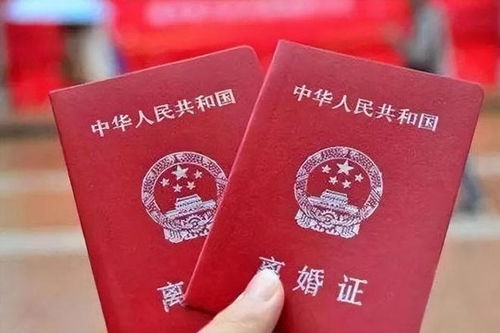 离婚证图片，理解、尊重与隐私保护