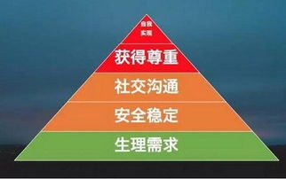 五项基本原则，构建和谐社会的基石