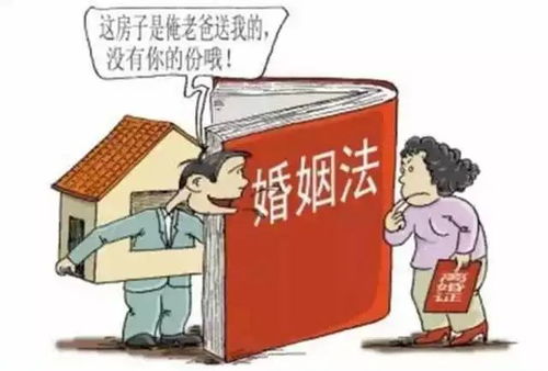 婚姻家庭法，构建和谐家庭的法律基石