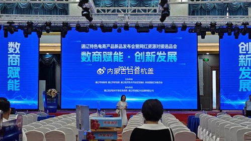 呼和浩特假期工，探索草原之都的兼职机会与文化体验