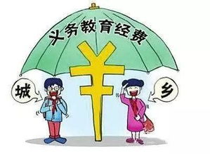 面对智障儿童，理解、支持与教育的综合策略