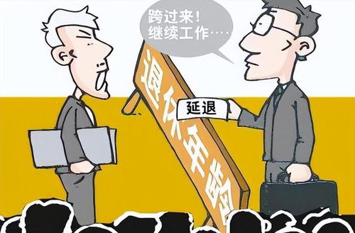 理解副处级女干部退休年龄，政策、影响与未来展望