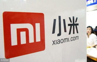 郑州易贷网，金融科技的便捷桥梁