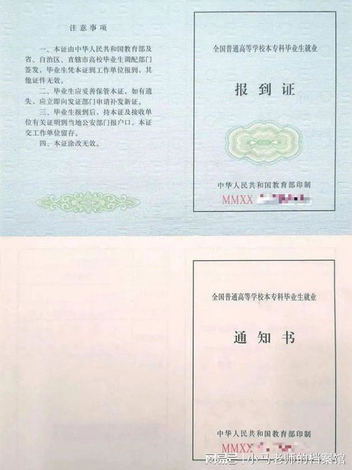 报到证丢失不用慌，全面指南助你轻松应对