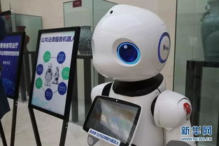 智慧法律服务机器人，未来法律咨询的新伙伴