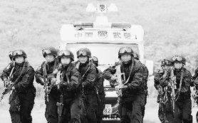 深入了解人民武装警察法，维护国家安全与社会稳定的重要力量