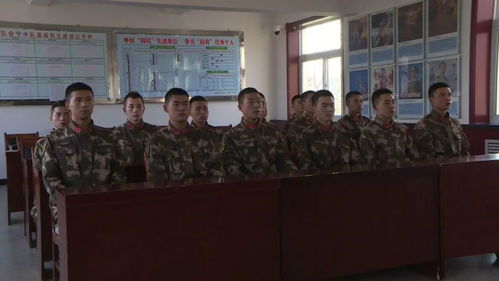 深入了解人民武装警察法，维护国家安全与社会稳定的重要力量