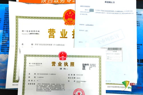 深入了解营业执照样本，企业合法经营的身份证