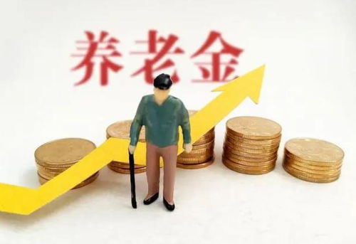 基本养老金最低标准，保障老年人生活质量的关键一步