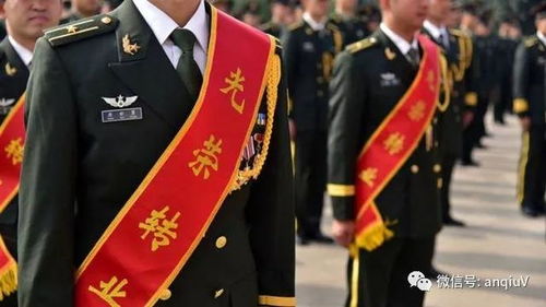 从军旅到社会，士官转业安置的挑战与机遇