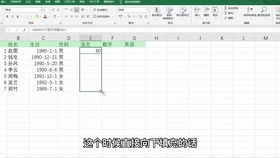 掌握员工工资表格式的艺术，清晰、公平、高效