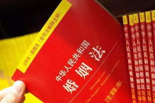 法律的智慧，如何在现代社会中寻求正义与平衡