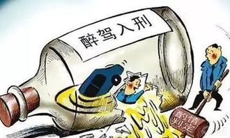 酒后驾车，致命的选择与不可承受的后果