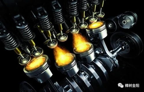 改名之旅，轻松还是挑战？一探究竟