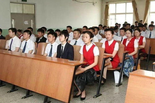 特种设备安全员证，守护生命安全的金钥匙