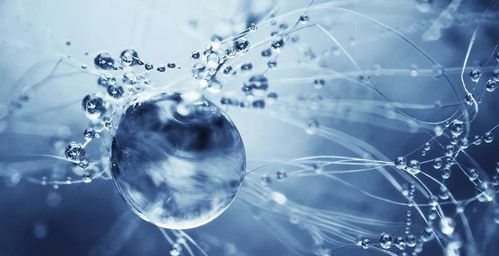 揭开法律智库的神秘面纱，真实名字与作用解析