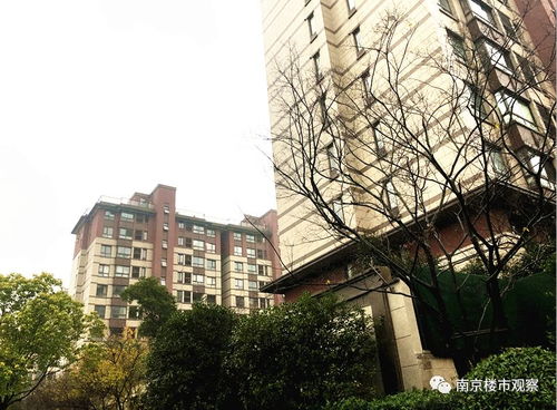 乐至二手房市场，投资与居住的双重机遇