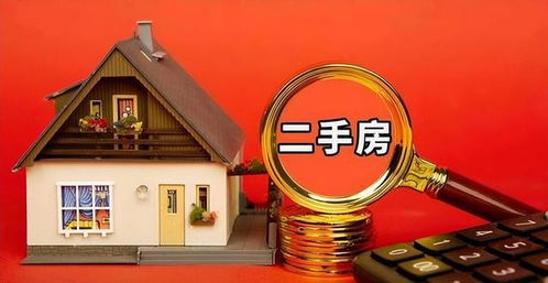 非普通住房，探索特殊房产市场的独特魅力与投资策略