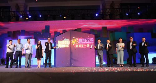 合肥性用品市场，探索、理解与健康生活