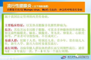一文教你轻松办理社保，流程、注意事项与实用建议