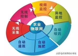 智慧法律平台，法律服务的未来趋势