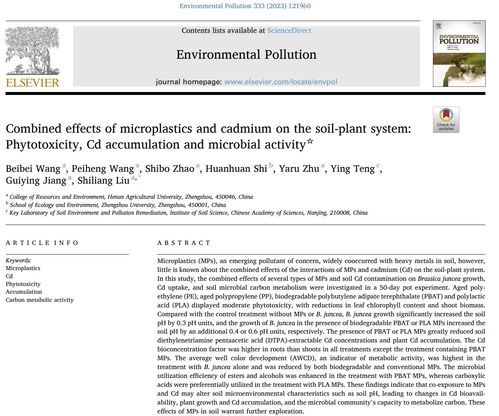 深入了解采矿许可证，获取、重要性及对环境的影响