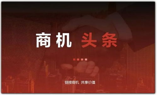 无限权益合伙人，携手共创未来的商业伙伴