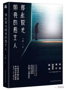 智慧之光，100句法律名言照亮正义之路