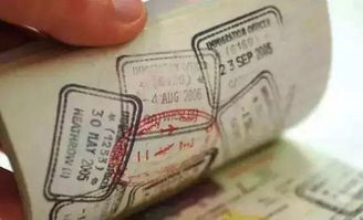 探索荷兰，轻松搞定签证办理指南