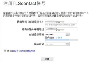 轻松掌握荷兰签证办理流程，从准备到获批的详细指南