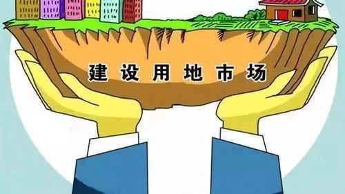 激活沉睡资产，探索闲置土地的创新处置策略