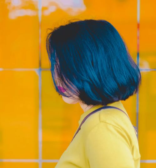 智慧法网平台，法律服务的未来，触手可及