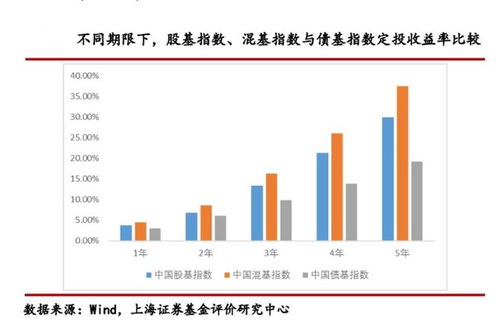 深入解析，债券基金的奥秘与投资指南