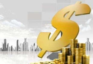 深入解析，债券基金的奥秘与投资指南