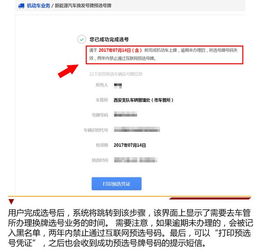 全面解析，上牌照流程的详细步骤与注意事项