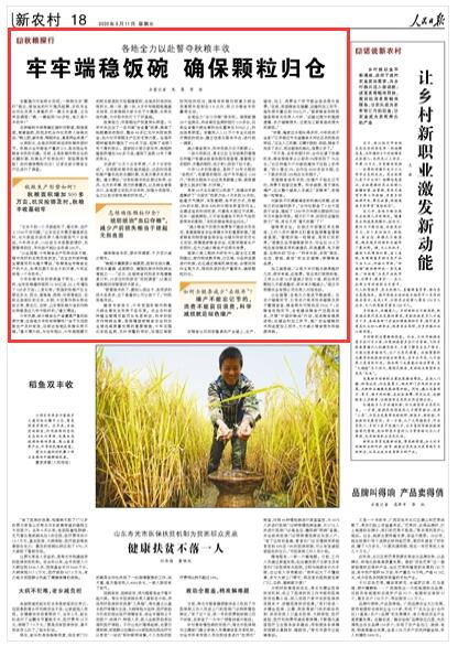 城市郊区土地归属与利用，法律框架与实践挑战