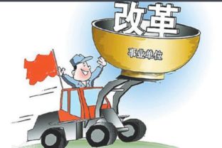 事业单位工资调整，影响因素、趋势与应对策略