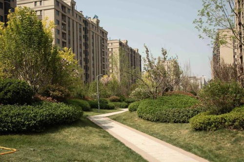 现房，即买即住的安心选择