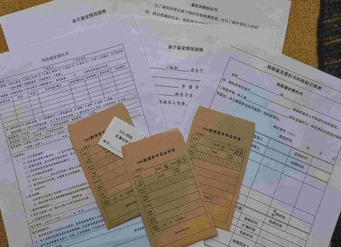 揭开真相，亲子鉴定的科学方法与社会影响