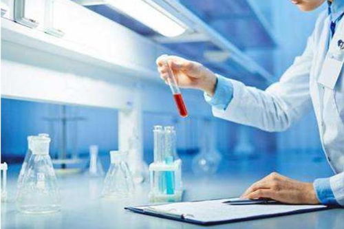 揭开真相，亲子鉴定的科学方法与社会影响