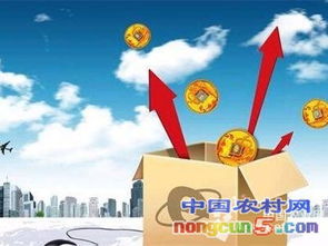 小额担保贷款，助力小微企业发展的金融利器