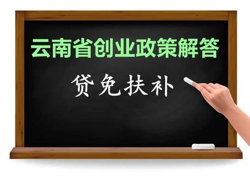 小额担保贷款，助力小微企业发展的金融利器