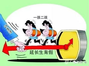 29省陪产假政策全解析，家庭与职场的平衡新篇章