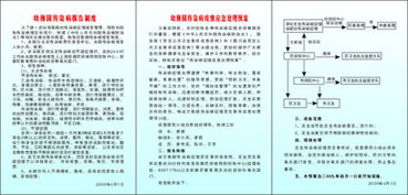 守护健康，深入了解传染病疫情报告制度