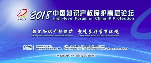 守护创新之门，海关在知识产权保护中的重要作用与实践