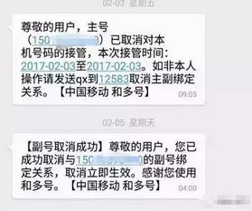 身份证不翼而飞？一文教你轻松挂失，安全无忧
